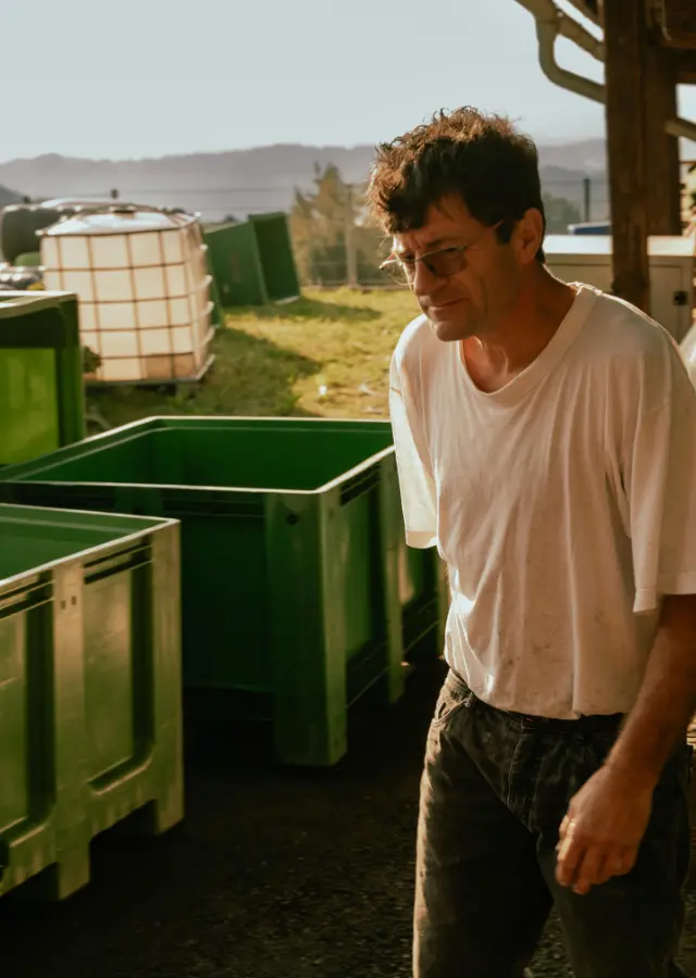 man-winery-green-box