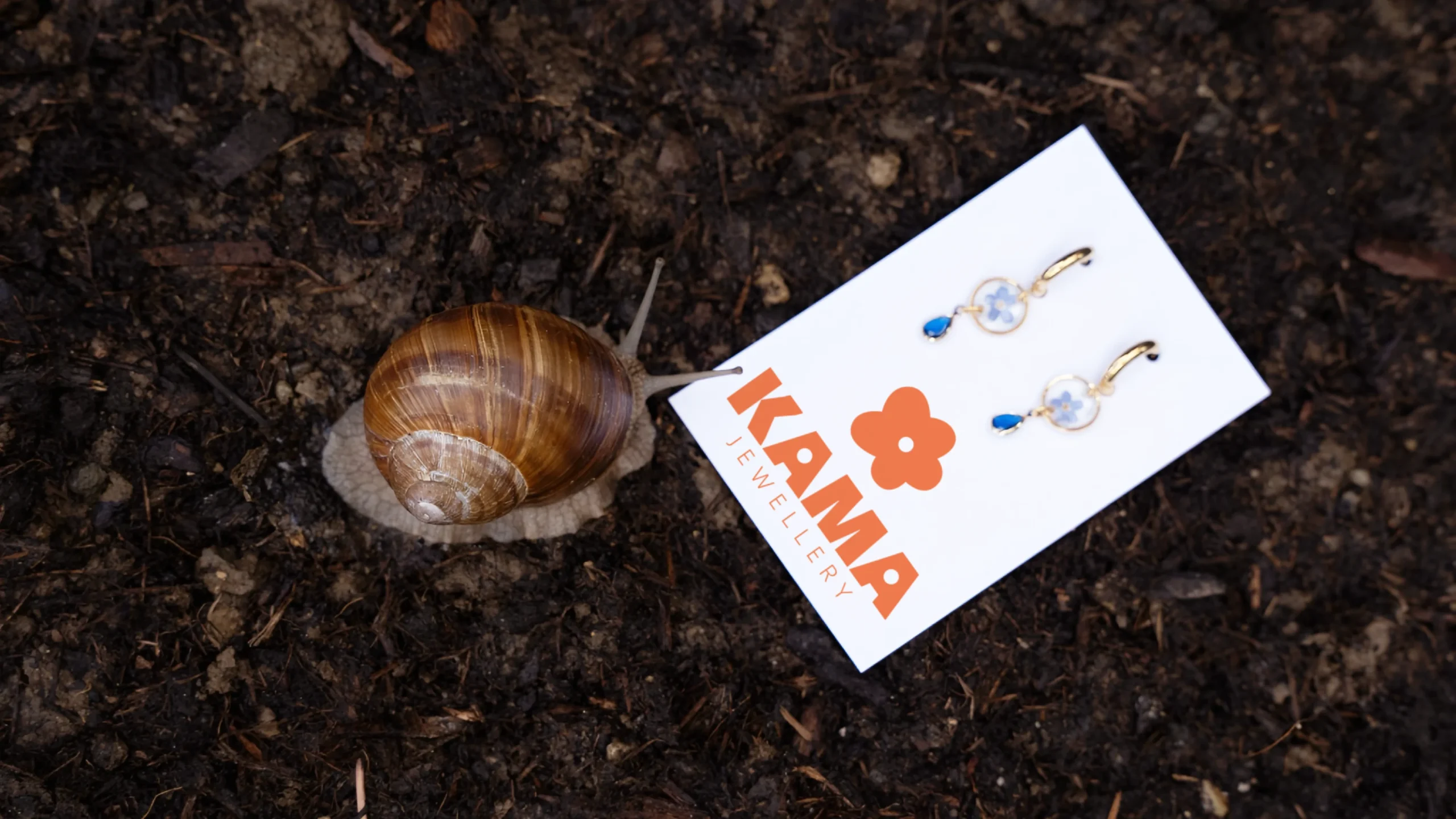 schmuck-ohrringe-label-kama-orange-blume-trockenblumen-schnecke