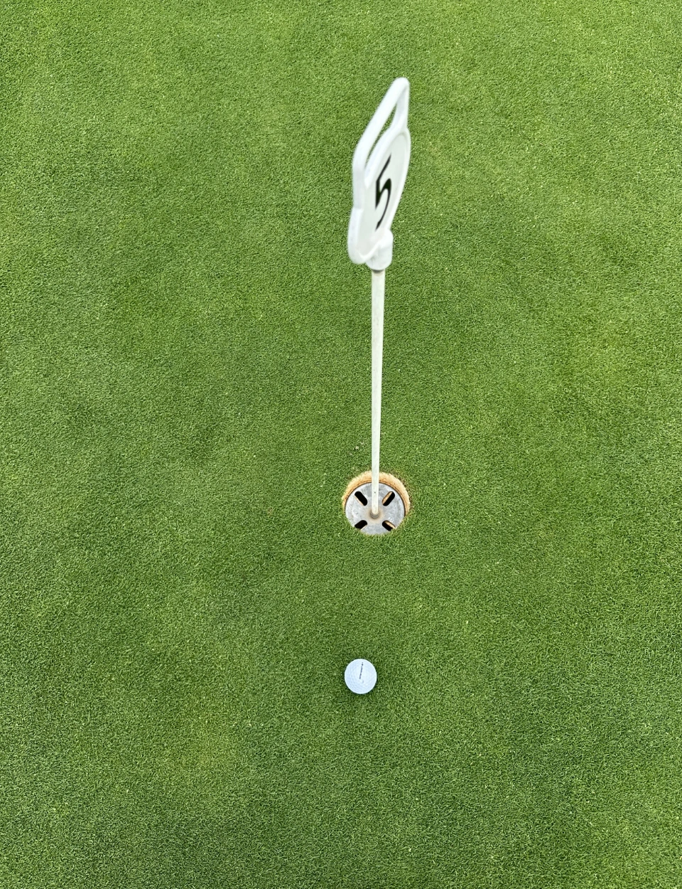 rebranding-onlinematheat-nachhilfe-redesign-new-branding-diskodesignstudio-golf-merch-golfball rebranding-onlinematheat-nachhilfe-redesign-new-branding-diskodesignstudio-golf-merch-golfball